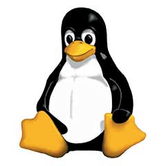Triviaal In tegenspraak Souvenir Linux Training Courses | Global Knowledge