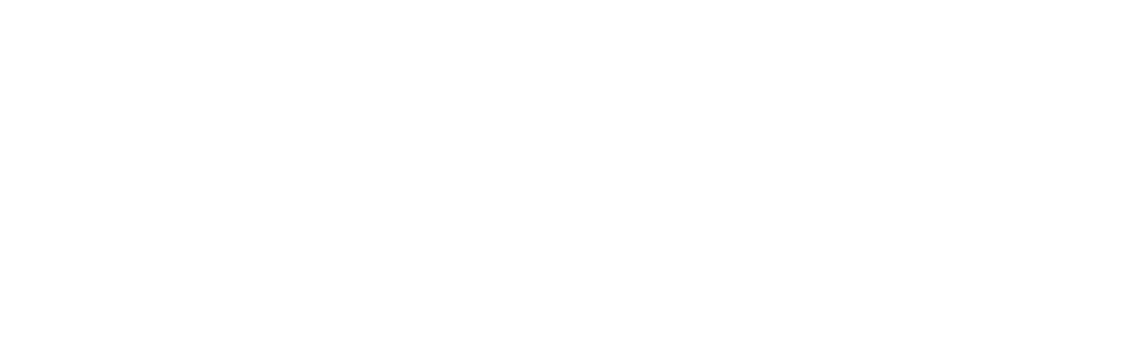 Veeam White Logo